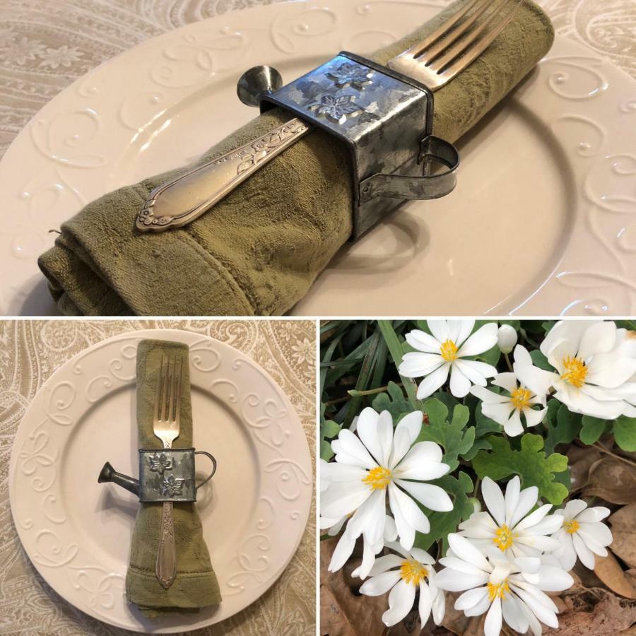Magnolia House & Gardens B&B Clover Εξωτερικό φωτογραφία